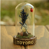 Totoro Car Terrarium