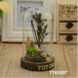 Totoro Car Terrarium